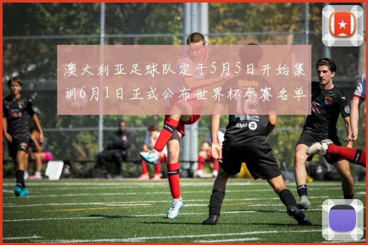 澳大利亚足球队定于5月5日开始集训6月1日正式公布世界杯参赛名单