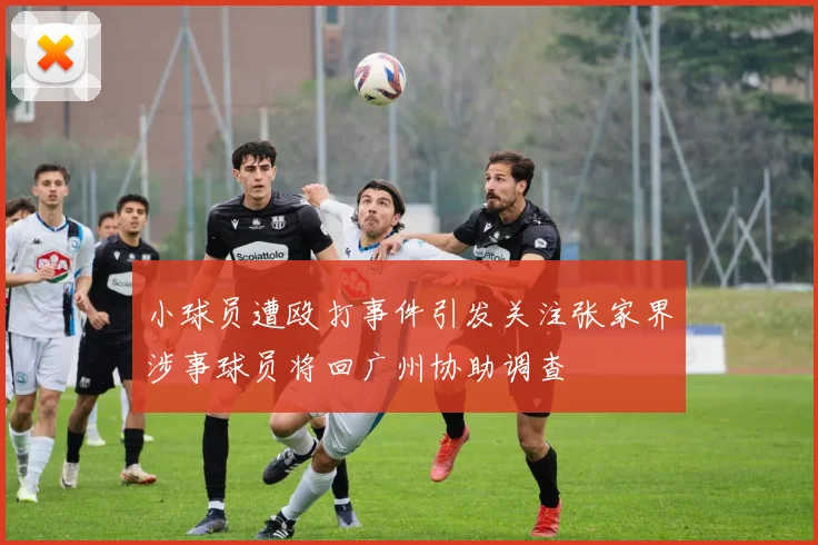 小球员遭殴打事件引发关注张家界涉事球员将回广州协助调查